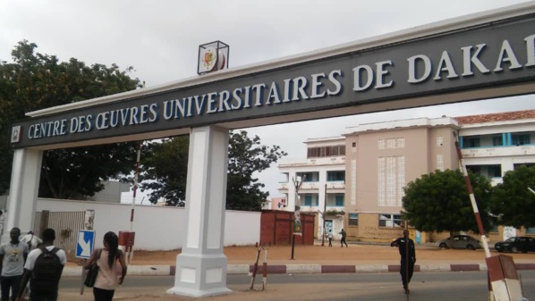 UCAD : Le collectif des amicales dénonce et interdit "l'accès aux politiciens"