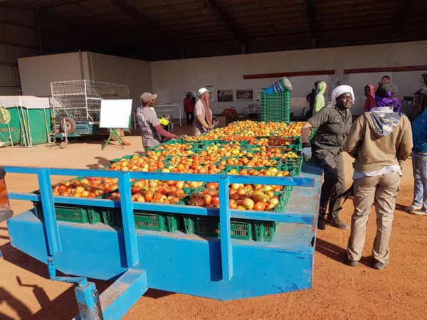 PROJET AGRI-JEUNES : 54 milliards pour créer 150 000 emplois dans huit régions PROJET AGRI-JEUNES : 54 milliards pour créer 150 000 emplois dans huit régions