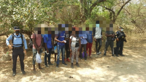 Honduras: Arrestations de plusieurs Sénégalais Honduras: Arrestations de plusieurs Sénégalais