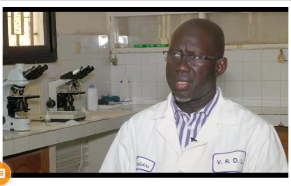 Pr DIEYE sur la vaccination contre la COVID : "Le risque qu’il peut y avoir est que la demande va être tellement forte par rapport à l’offre…” Pr DIEYE sur la vaccination contre la COVID : "Le risque qu’il peut y avoir est que la demande va être tellement forte par rapport à l’offre…”