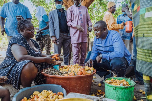 Commercialisation de l’anacarde au Sud : la DER n’est plus rapide Commercialisation de l’anacarde au Sud : la DER n’est plus rapide