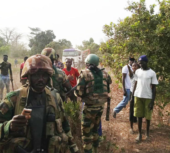 Trafic de bois en Casamance : L’Armée  pourchasse les trafiquants et provoque la colère des Gambiens
