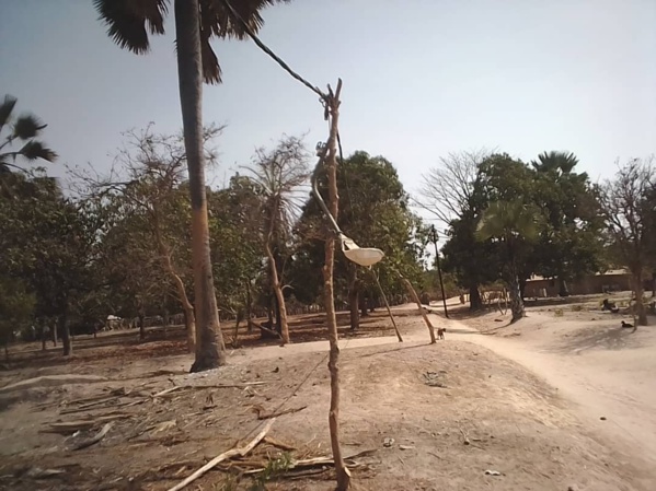 Bignona: Quand la Senelec joue avec la vie des populations du village de Tendouck Bignona: Quand la Senelec joue avec la vie des populations du village de Tendouck