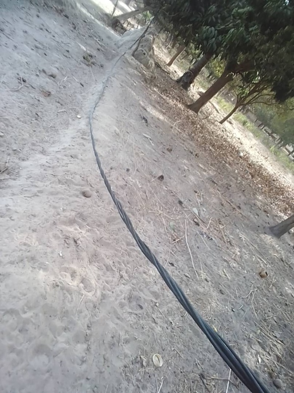 Bignona: Quand la Senelec joue avec la vie des populations du village de Tendouck Bignona: Quand la Senelec joue avec la vie des populations du village de Tendouck