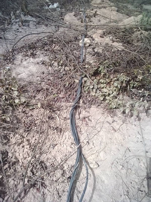 Bignona: Quand la Senelec joue avec la vie des populations du village de Tendouck