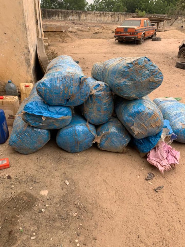 Niafran : Deux dealers tombent avec 237 KG de Yamba