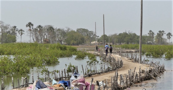 ENCLAVEMENT : A la découverte de l'île de Niomoune "abandonnée" par l'Etat... 3000 âmes sans eau potable ni de poste santé sérieux...(Vidéo)