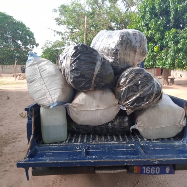 Bignona : 245 KG de chanvre indien saisis Bignona : 245 KG de chanvre indien saisis