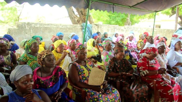 Booster les activités économiques : Meissa Mahécor Diouf finance des groupements féminins de Fatick Booster les activités économiques : Meissa Mahécor Diouf finance des groupements féminins de Fatick