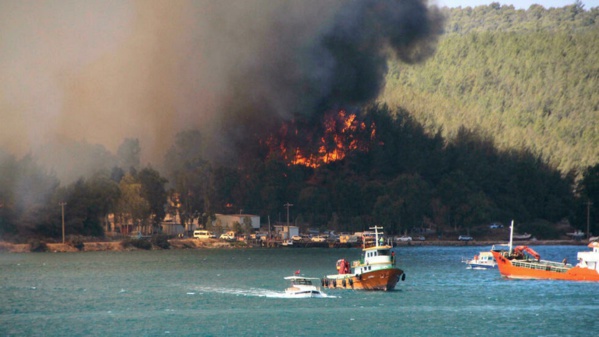 Incendies en Turquie: des touristes évacués à Bodrum