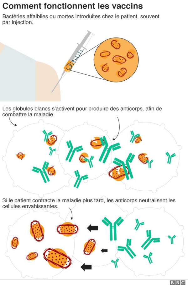 Johnson & Johnson : ce que nous savons sur les nouveaux vaccins Covid Johnson & Johnson : ce que nous savons sur les nouveaux vaccins Covid