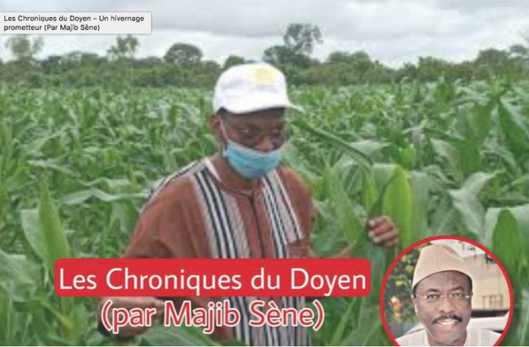 Les Chroniques du Doyen – Un hivernage prometteur (Par Majib Sène) Les Chroniques du Doyen – Un hivernage prometteur (Par Majib Sène)