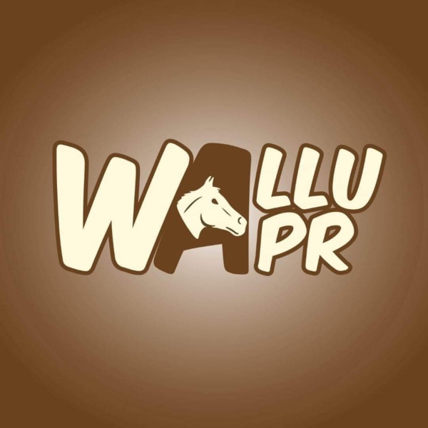 Convocation de Barthélémy Dias : Les précision de "WALLU  APR"  (Communiqué) 