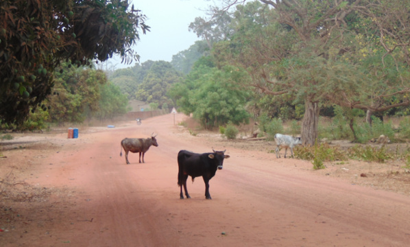 Boucle des Kalounayes : Les travailleurs observent une grève illimitée