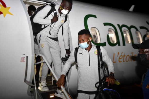 Les images de l'arrivée des "lions" sont arrivés au Cameroun Les images de l'arrivée des "lions" sont arrivés au Cameroun