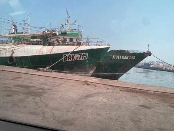 Licences de pêche : 120 navires opèrent officiellement au Sénégal