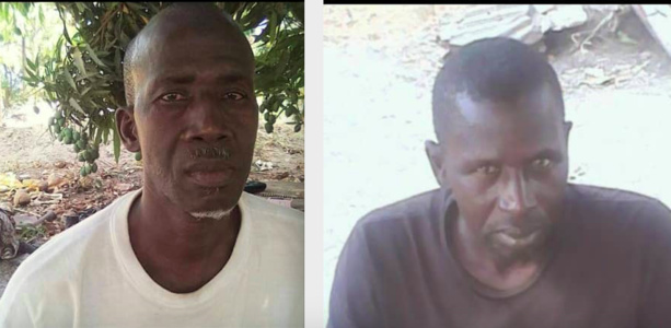 Installation du maire de Mangagoulack : Un fromager tombe et tue deux conseillers municipaux Installation du maire de Mangagoulack : Un fromager tombe et tue deux conseillers municipaux