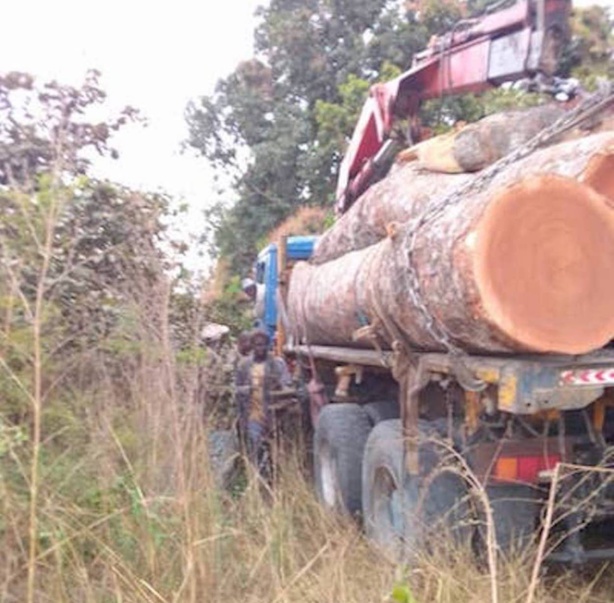 Accrochage Armée-Mfdc : Voici le camion, qui était à l'origine de la tension 