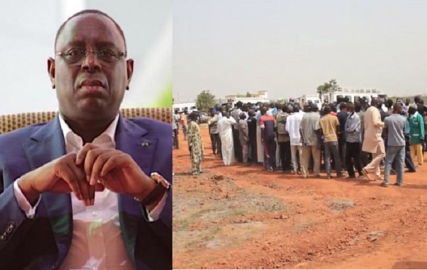 L'autorisation de Macky à déclasser 75ha de la forêt classée de Sébikotane, déclenche une Colère générale L'autorisation de Macky à déclasser 75ha de la forêt classée de Sébikotane, déclenche une Colère générale