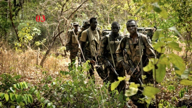 Tuerie de Boffa: Quand la presse Sénégalaise se sert des images des conflits armés en Afrique centrale pour Illustrer...