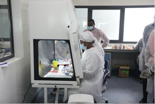 Covid-19: On est à 1.965 morts au Sénégal ! Covid-19: On est à 1.965 morts au Sénégal !