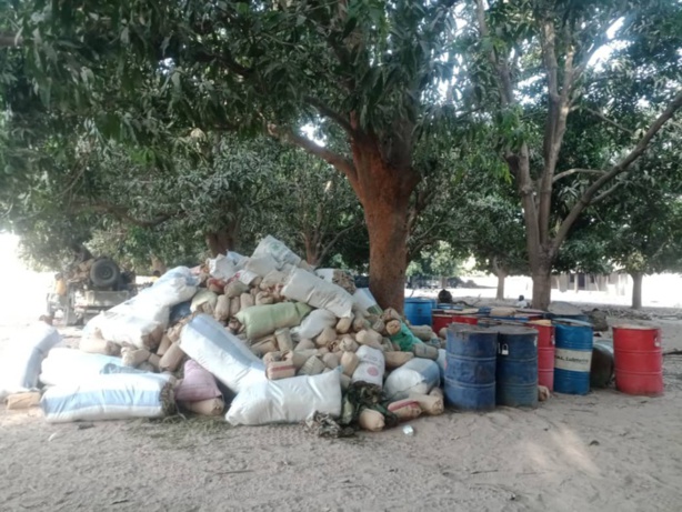 Bignona : l'armée contrôle les bases de Niombolong et Médiadia Bignona : l'armée contrôle les bases de Niombolong et Médiadia