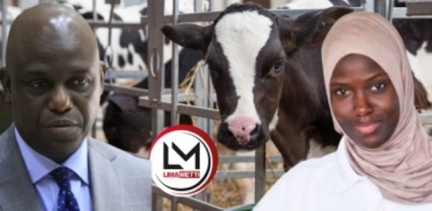 Graves révélations sur la fille de Mansour Faye, propriétaire d’une ferme Graves révélations sur la fille de Mansour Faye, propriétaire d’une ferme