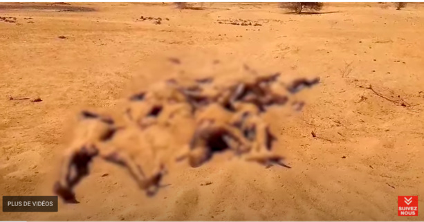 Massacre des civils au Mali, la Russie enfonce l'armée française (Vidéos)