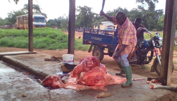 Kolda : Trois bouchers clandestins arrêtés Kolda : Trois bouchers clandestins arrêtés