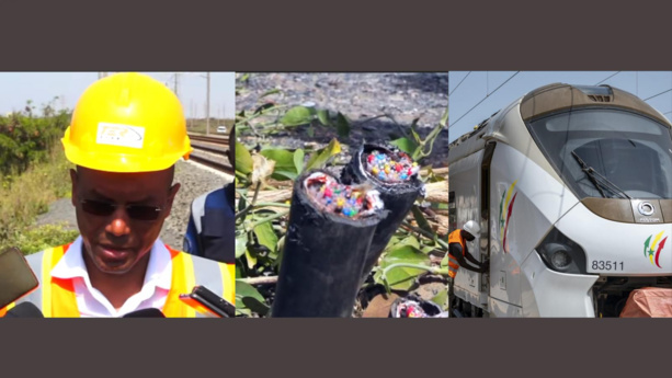 Vol des câbles du TER : ce qui s'est réellement passé... Vol des câbles du TER : ce qui s'est réellement passé...