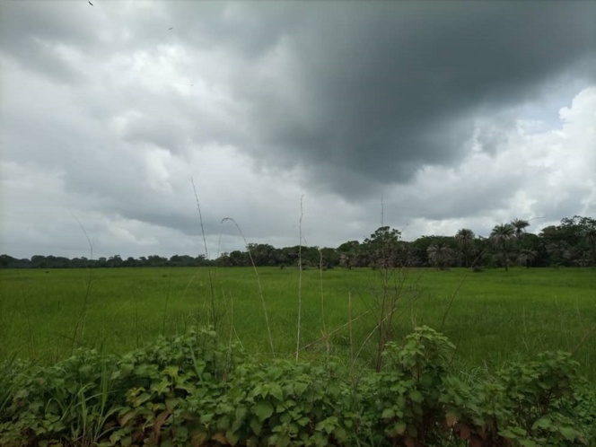 NIAGUIS : La foudre tue deux jeunes et blesse trois autres NIAGUIS : La foudre tue deux jeunes et blesse trois autres