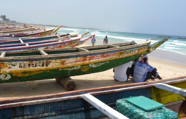 Pêche illégale : 39 pirogues sénégalaises mises aux arrêts