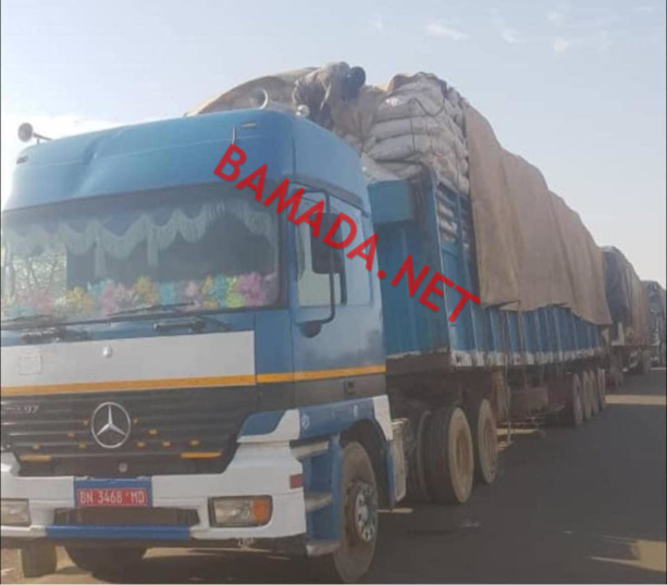 Distribution de blé en Africain : Poutine zappe Macky et sert le Mali et... Distribution de blé en Africain : Poutine zappe Macky et sert le Mali et...