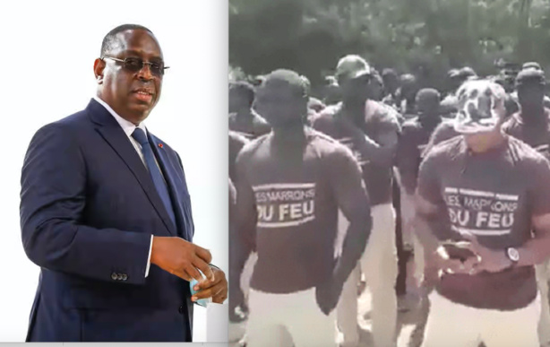 Campagne électorale : Macky Sall avertit les candidats contre l'emploi de nervis Campagne électorale : Macky Sall avertit les candidats contre l'emploi de nervis