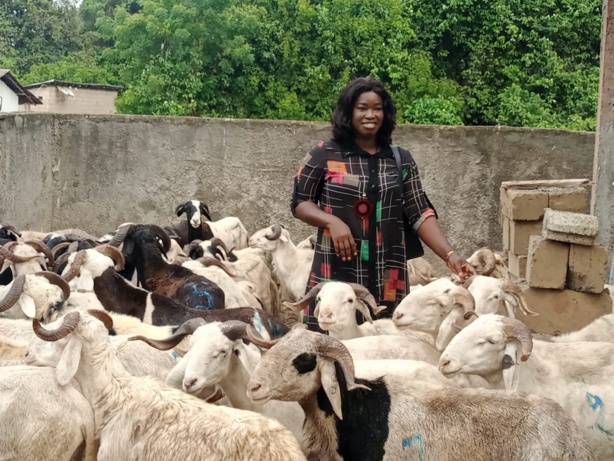 Tabaki 2022 á Oussouye : Dieynaba Goudiaby au chevet des religieux avec 80 moutons et une enveloppe de... Tabaki 2022 á Oussouye : Dieynaba Goudiaby au chevet des religieux avec 80 moutons et une enveloppe de...