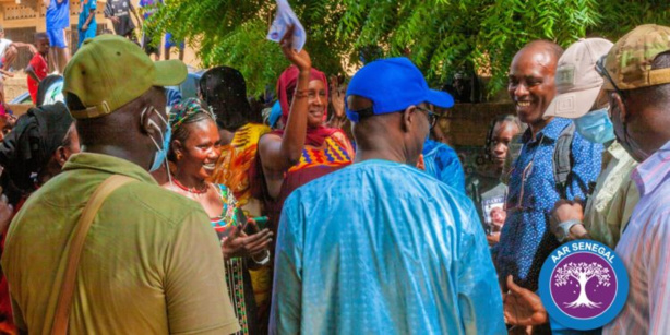 Thierno Alassane Sall : "Le Fouta n’est plus un titre foncier de Benno Book Yaakaar" Thierno Alassane Sall : "Le Fouta n’est plus un titre foncier de Benno Book Yaakaar"