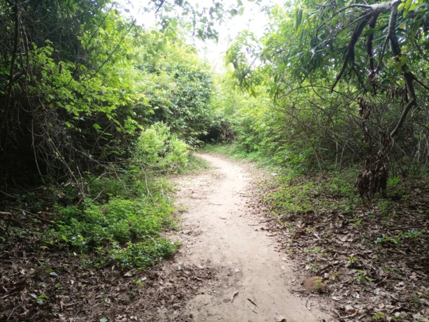 Oussouye : découverte d'un corps sans vie en état de décomposition