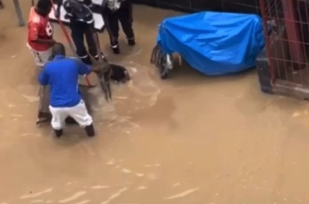 Inondations à Cambérène : Un garçon meurt électrocuté