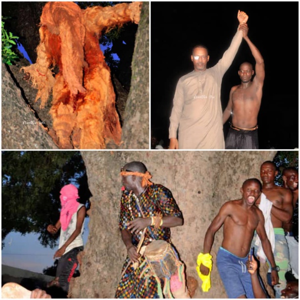 KOLDA  : A la découverte de la cérémonie du "Grand Juju"