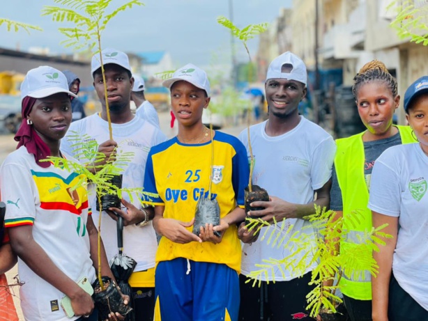 Meilleure qualité de l’air : La mairie de Dalifort veut planter plus 2000 caïlcédrats en 72 h Meilleure qualité de l’air : La mairie de Dalifort veut planter plus 2000 caïlcédrats en 72 h
