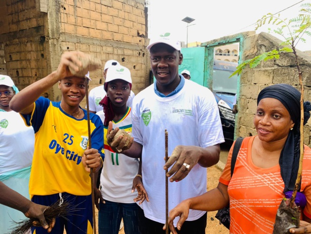 Meilleure qualité de l’air : La mairie de Dalifort veut planter plus 2000 caïlcédrats en 72 h Meilleure qualité de l’air : La mairie de Dalifort veut planter plus 2000 caïlcédrats en 72 h