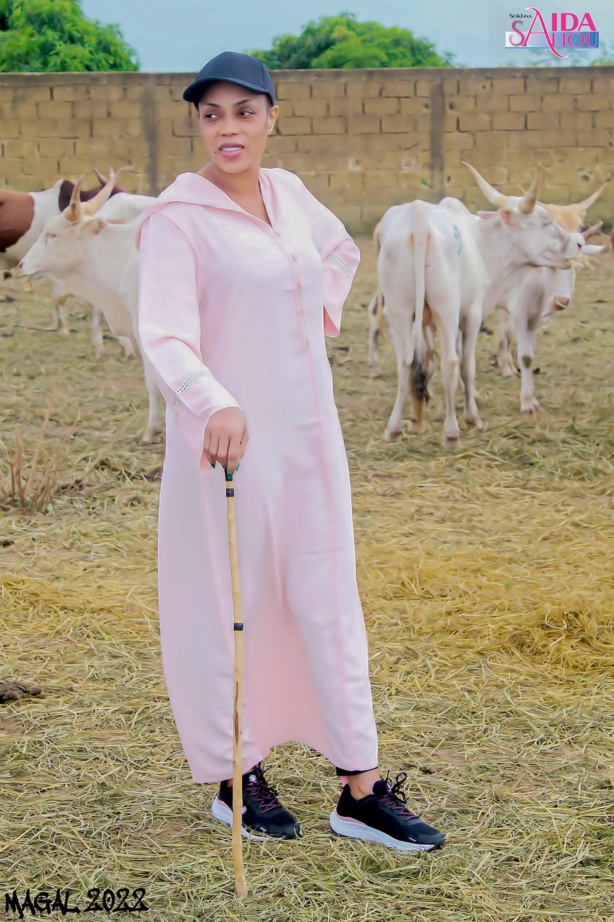 Magal: Sokhna Aïda Saliou Thioune distribue des boeufs à Touba Magal: Sokhna Aïda Saliou Thioune distribue des boeufs à Touba