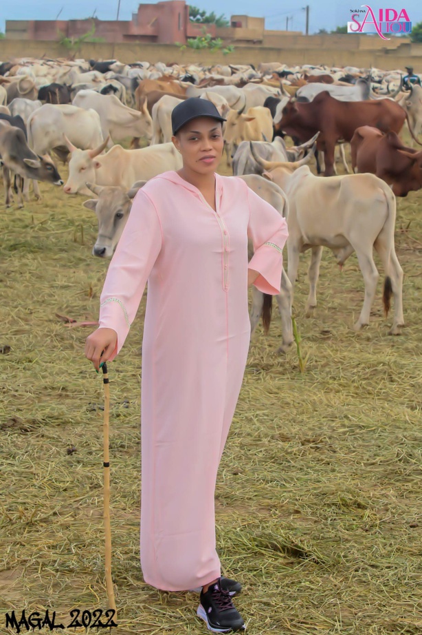 Magal: Sokhna Aïda Saliou Thioune distribue des boeufs à Touba Magal: Sokhna Aïda Saliou Thioune distribue des boeufs à Touba