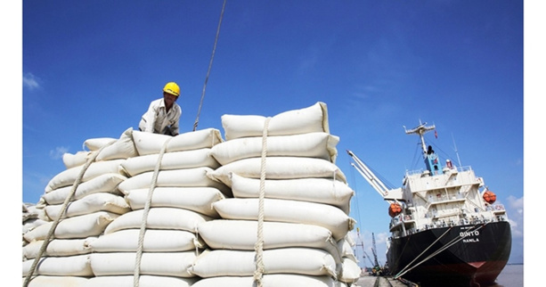 RISQUE DE HAUSSE DU PRIX DE RIZ : L’inde impose une taxe de 20% sur le prix du riz RISQUE DE HAUSSE DU PRIX DE RIZ : L’inde impose une taxe de 20% sur le prix du riz