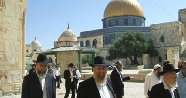 Assaut contre la sainte mosquée d'Al-Aqsa par des colons extrémistes juifs : l’OCI condamne fermement