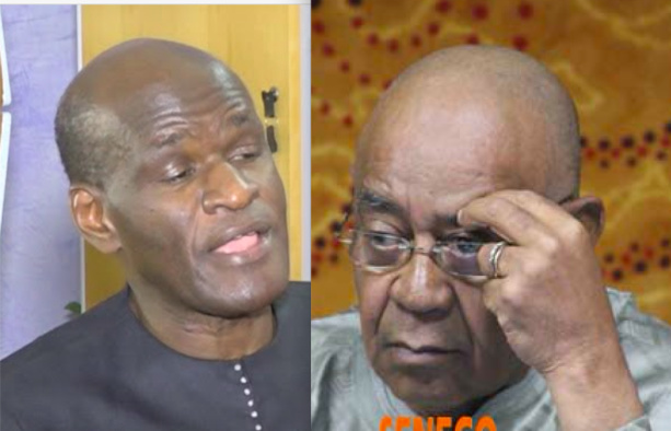 Limogeage de Saleh, Thierno Lô jubile : "il y a des gens qui pensent que Macky Sall, c’est leur propriété"
