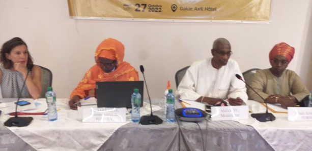 ​POLITIQUES MIGRATOIRES :  Le REMIDEV mobilise la société civile de sept pays africains