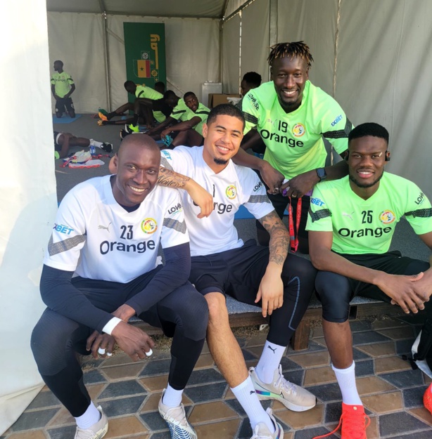 Primes de participation : Ce que chaque Lion a touché... Primes de participation : Ce que chaque Lion a touché...