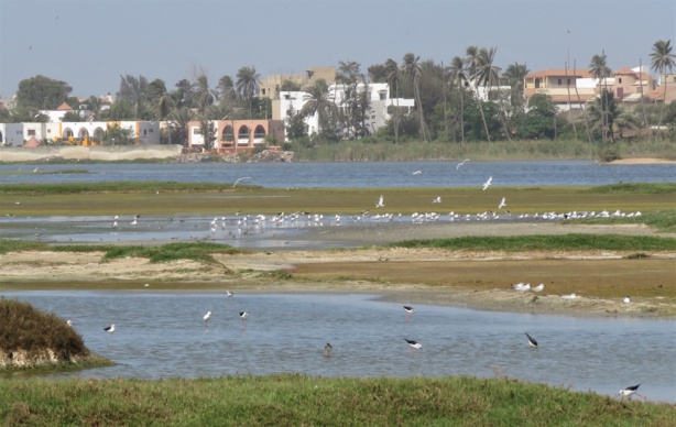 Viol collectif à Pikine : trois gaillards se relayent sur une dame Viol collectif à Pikine : trois gaillards se relayent sur une dame