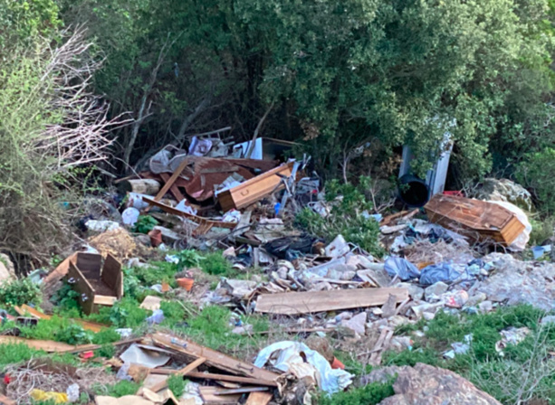 France : Un croque-mort condamné pour avoir jeté des ossements dans une décharge en Corse France : Un croque-mort condamné pour avoir jeté des ossements dans une décharge en Corse